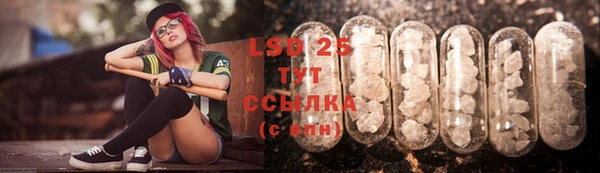 spice Алзамай