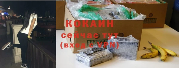spice Алзамай