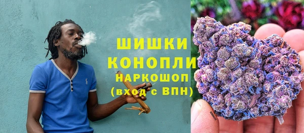 твердый Иннополис