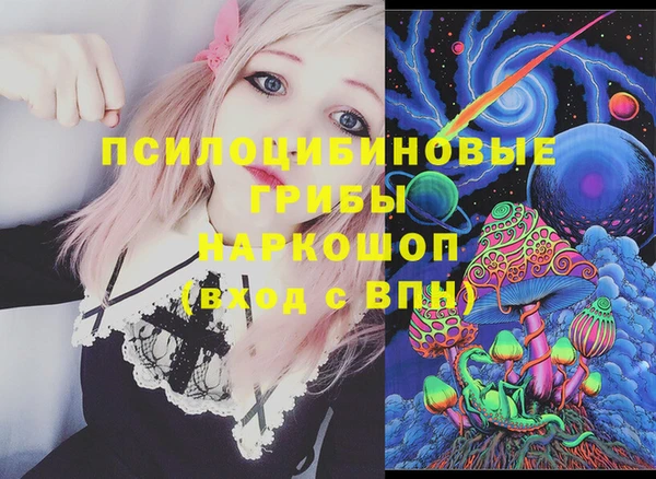 spice Алзамай